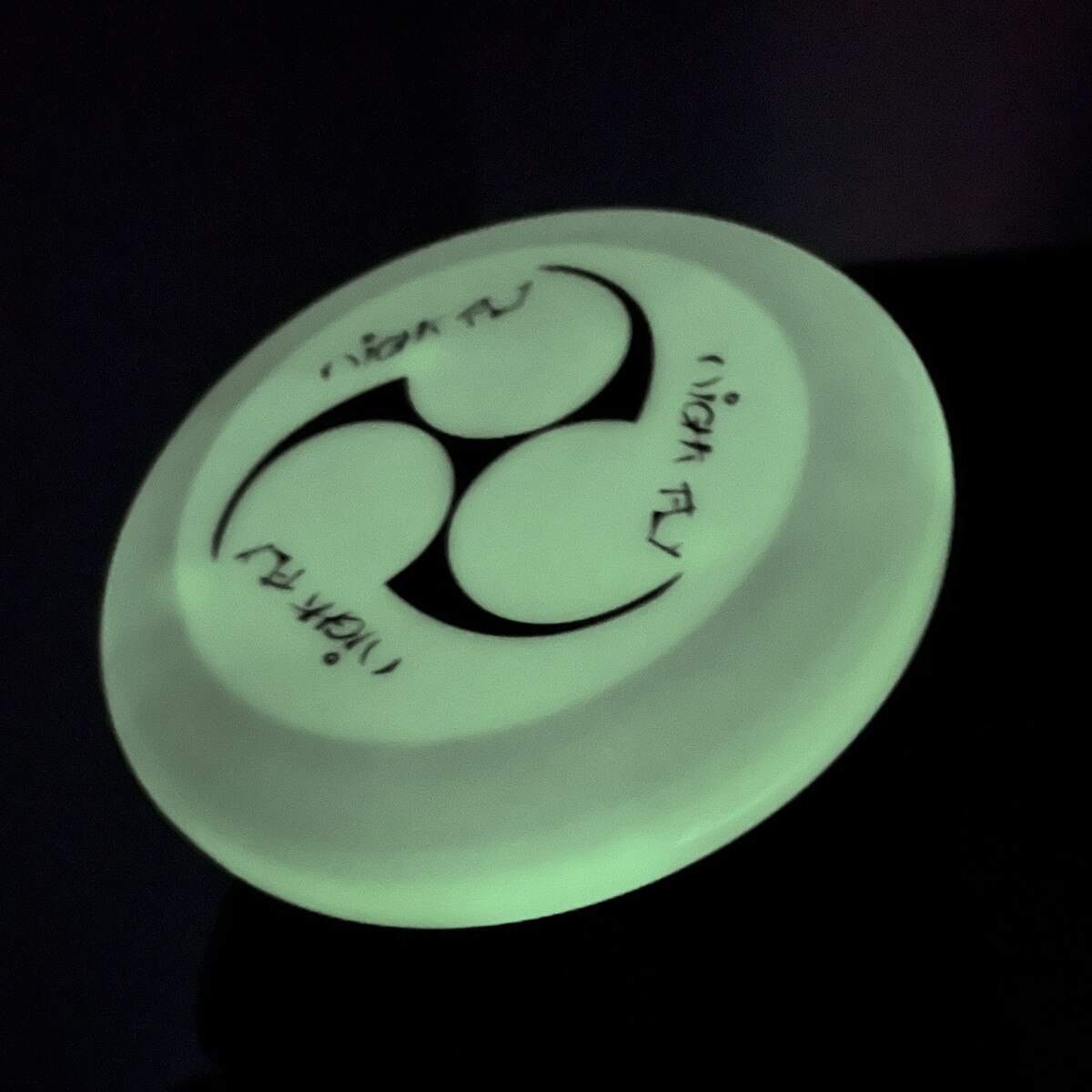 Sunflex Night Fly Disc - Glow in the Dark